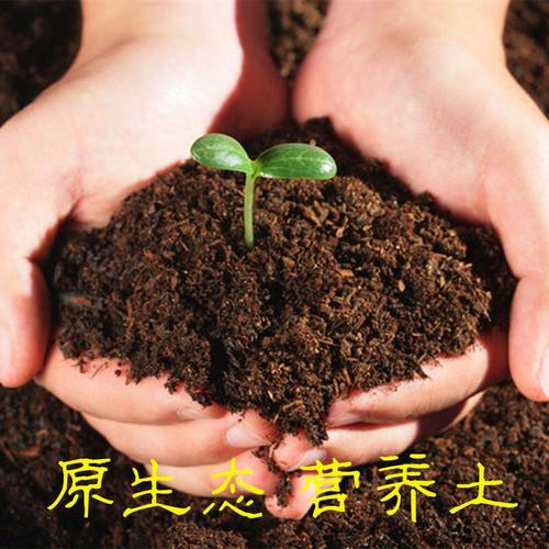 鑫苗多肉植物专用土包邮养花营养土种植土通用型园艺用品花盆家用
